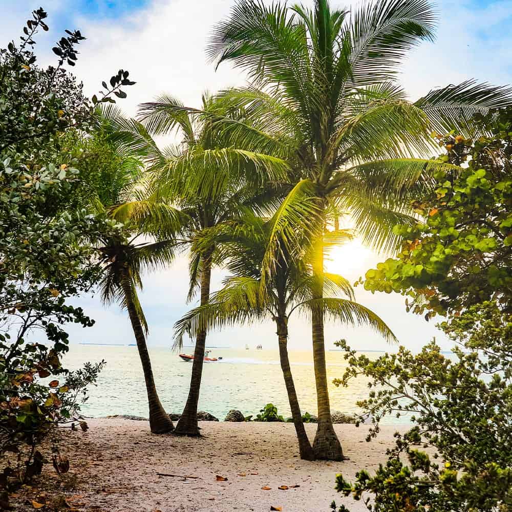 Florida Roofing Contractors Professional Restoration Services By RRCA